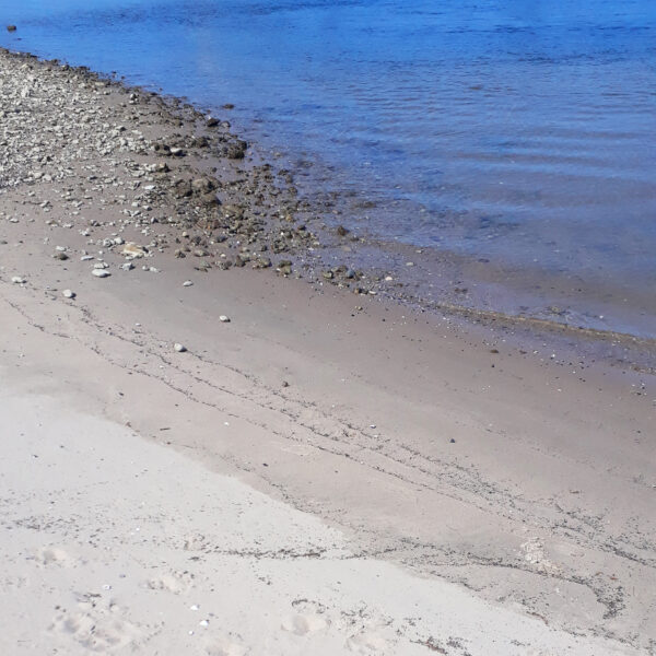 Strand und Wasser